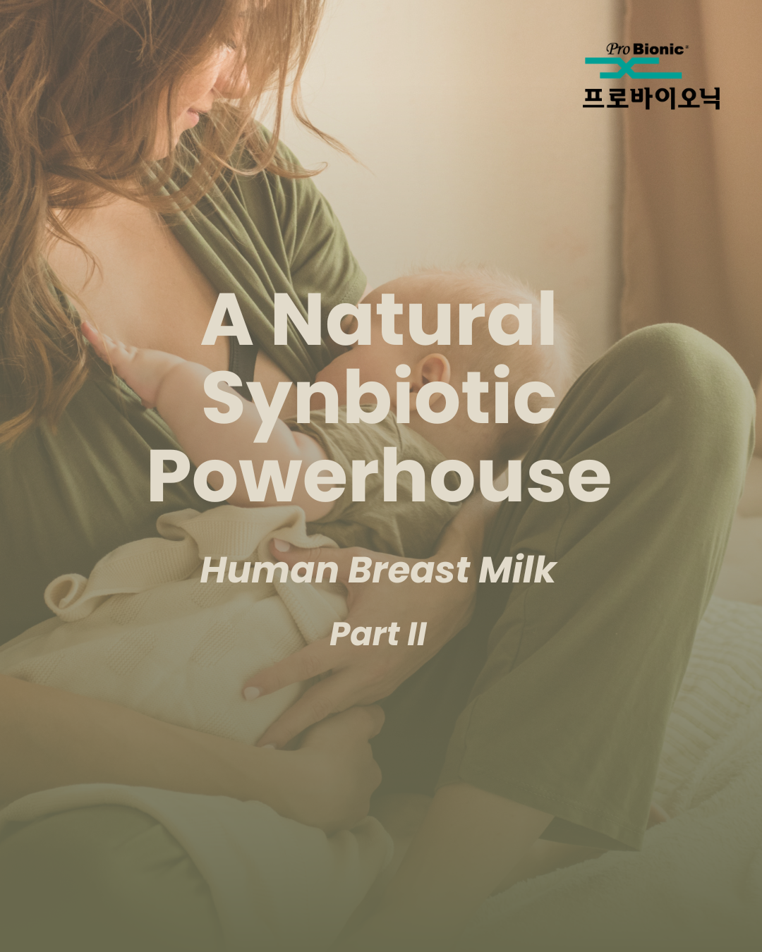 A  Natural Synbiotic Powerhouse