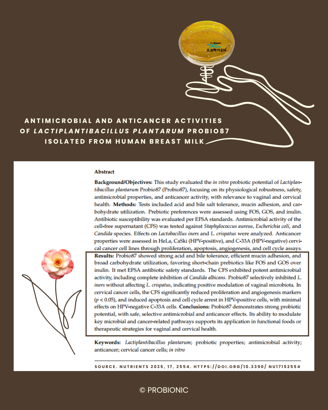 Image description