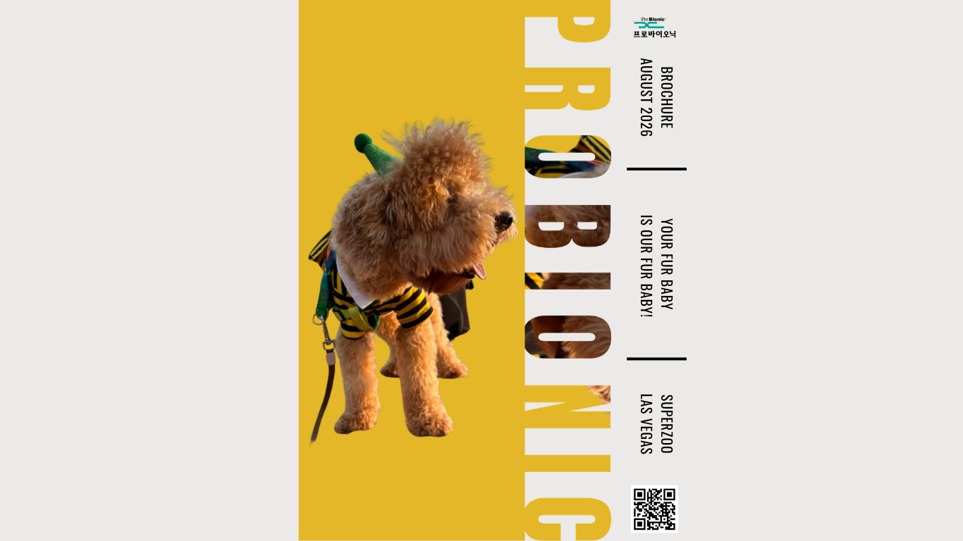 e-brochure 2026